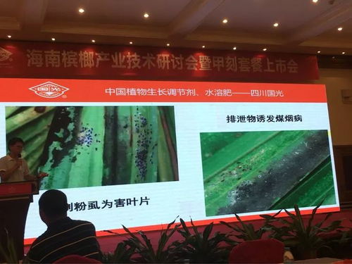 創新共贏 2018檳榔產業技術研討交流會暨技術推廣展望